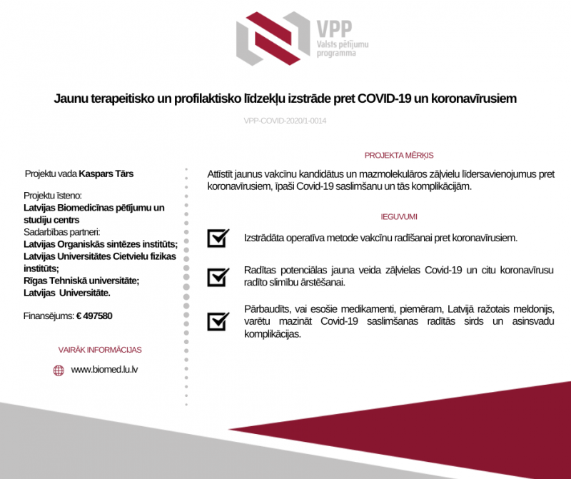 Projekta pase