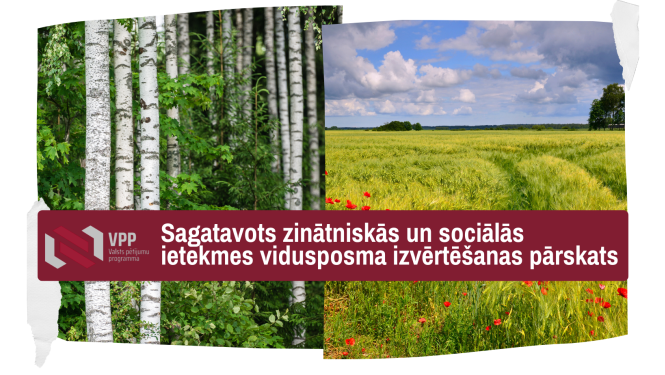 VPP pārskats