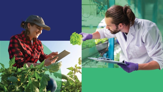 EU AgRI 2040