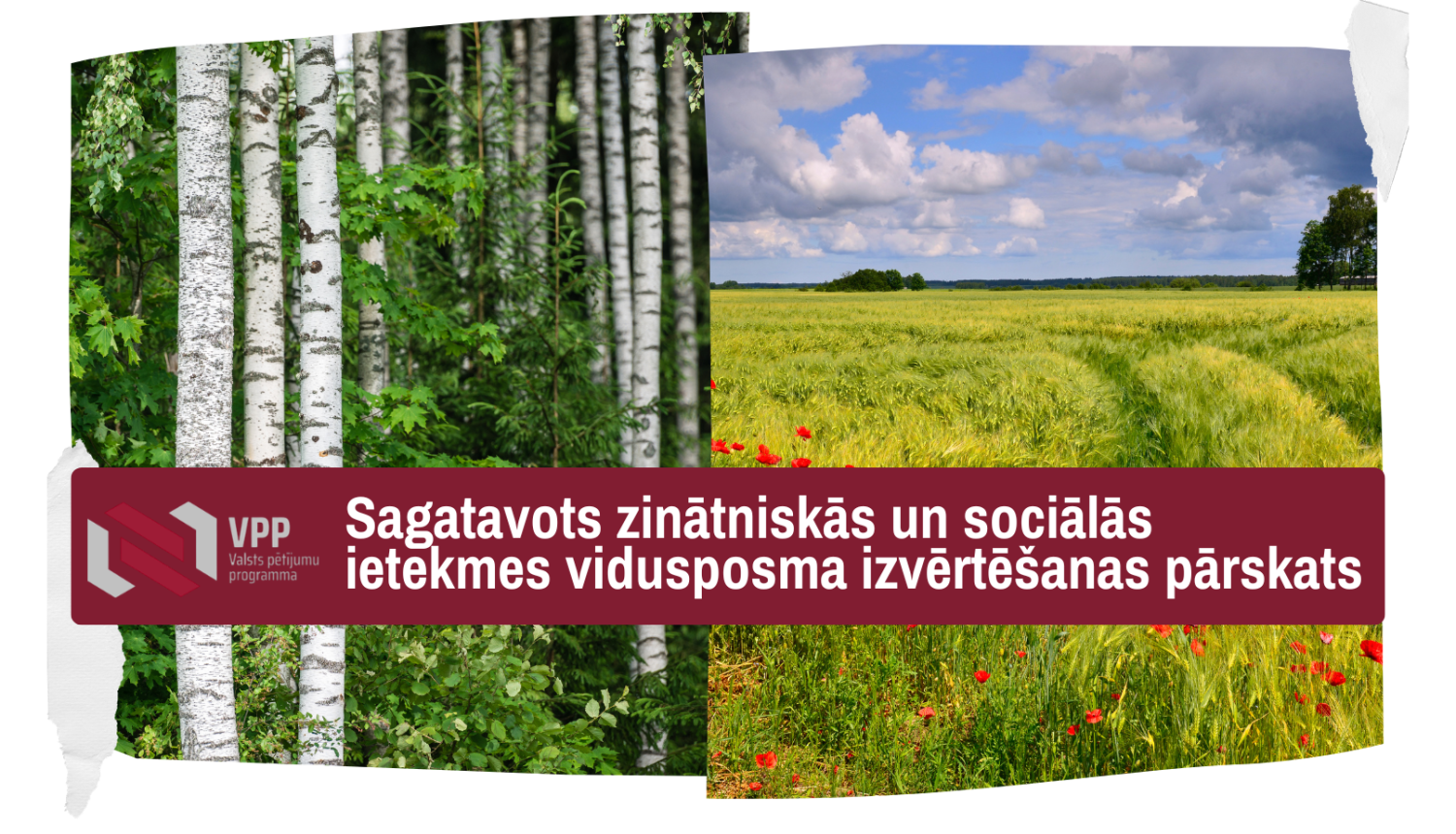 VPP pārskats