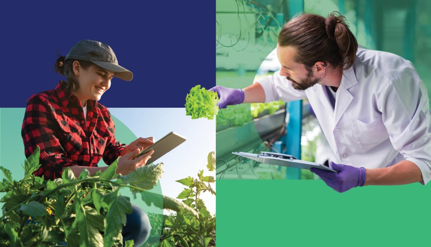 EU AgRI 2040