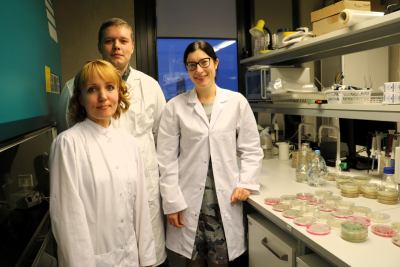 projekta “Sēklu mikrobioma raksturojums un dinamika nezāļu augsnes sēklu bankā” pētnieki laboratorijā