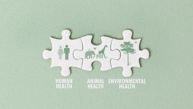 Eiropas Pētniecības padomes konference