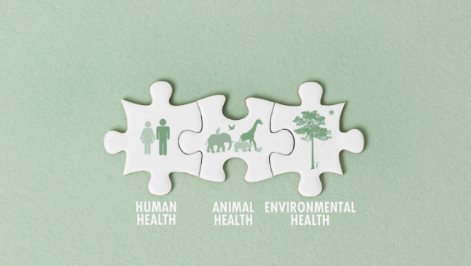 Eiropas Pētniecības padomes konference