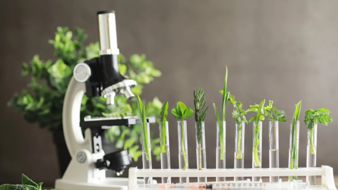 Attēls ar mikroskopu un augiem mēģenēs