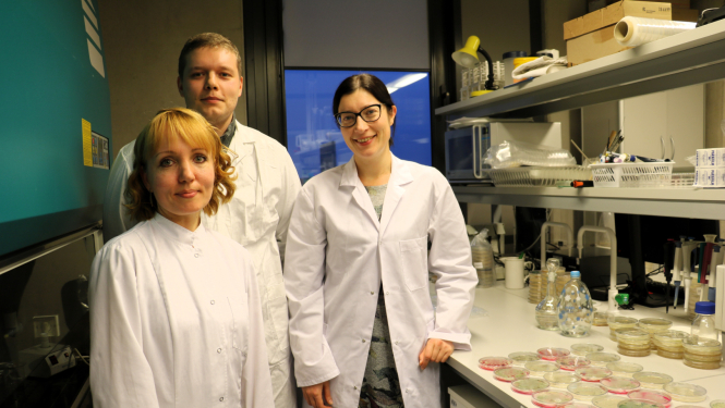 projekta “Sēklu mikrobioma raksturojums un dinamika nezāļu augsnes sēklu bankā” pētnieki laboratorijā