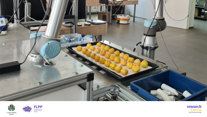 “Aveņu un krūmcidoniju vieda bezkontakta fenotipēšana”, izmantojot 3D attēlus, hiperspektrālo analīzi un mākslīgo intelektu.