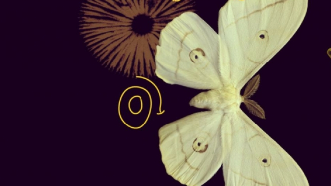 MSCA atklāj 95 miljonu eiro apjomīgu konkursu, lai līdzfinansētu doktorantūras un pēcdoktorantūras programmas