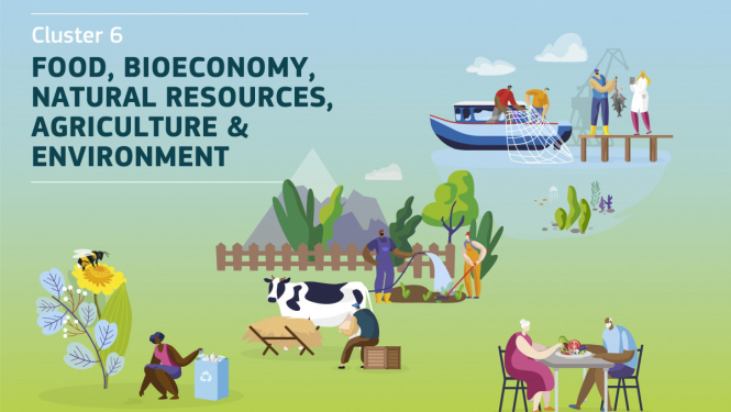 Apvārsnis Eiropa 6. klastera kontaktbirža