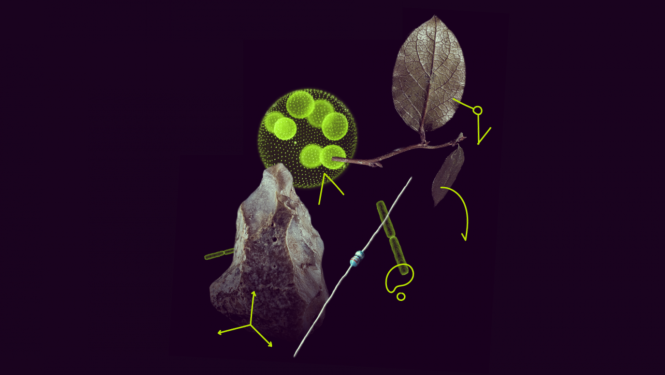 Konkurss Marijas Sklodovskas-Kirī pēcdoktorantūras stipendiju shēmai 