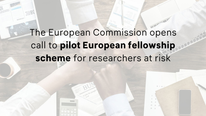 EU fellow pilot scheme