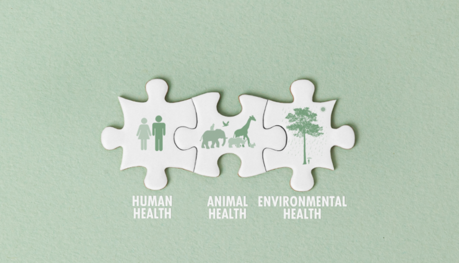 Eiropas Pētniecības padomes konference