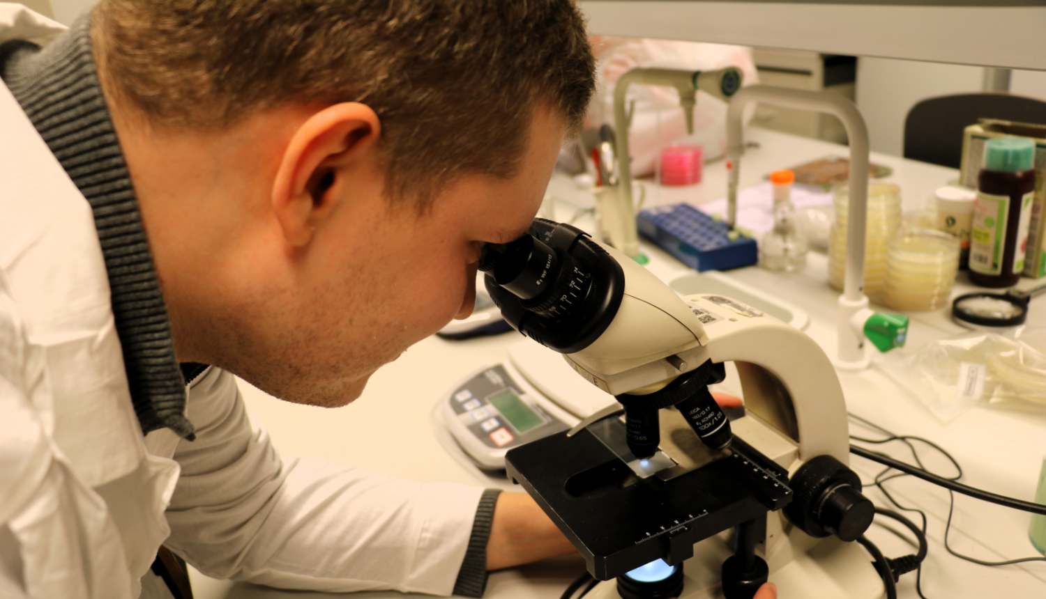 projekta “Sēklu mikrobioma raksturojums un dinamika nezāļu augsnes sēklu bankā” pētnieks skatās mikroskopā