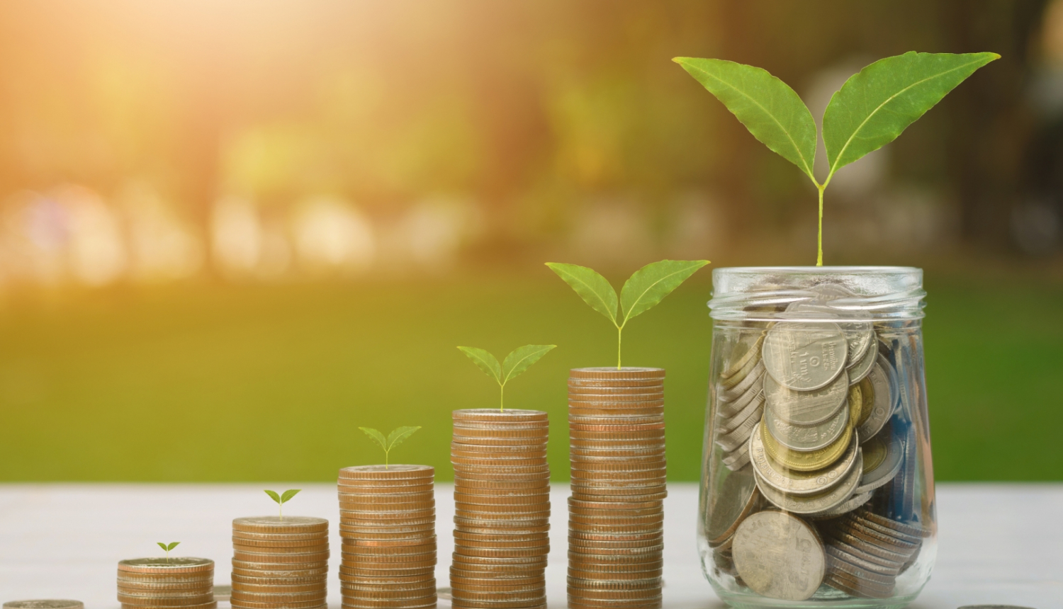 Attēls kurā redzama nauda un augi