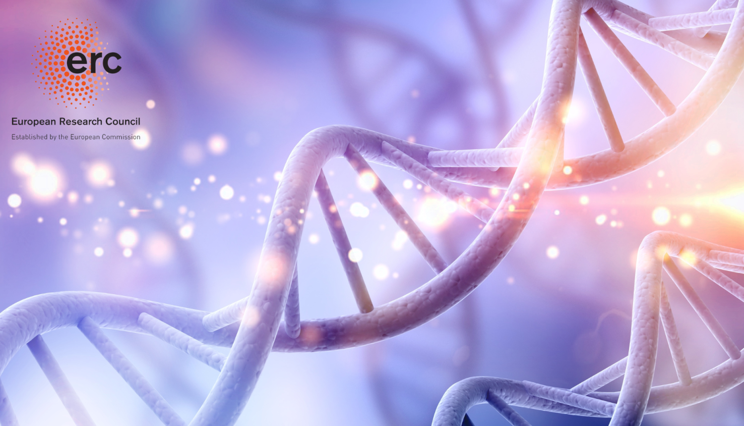 ERC projektu konkursu uzsaukums