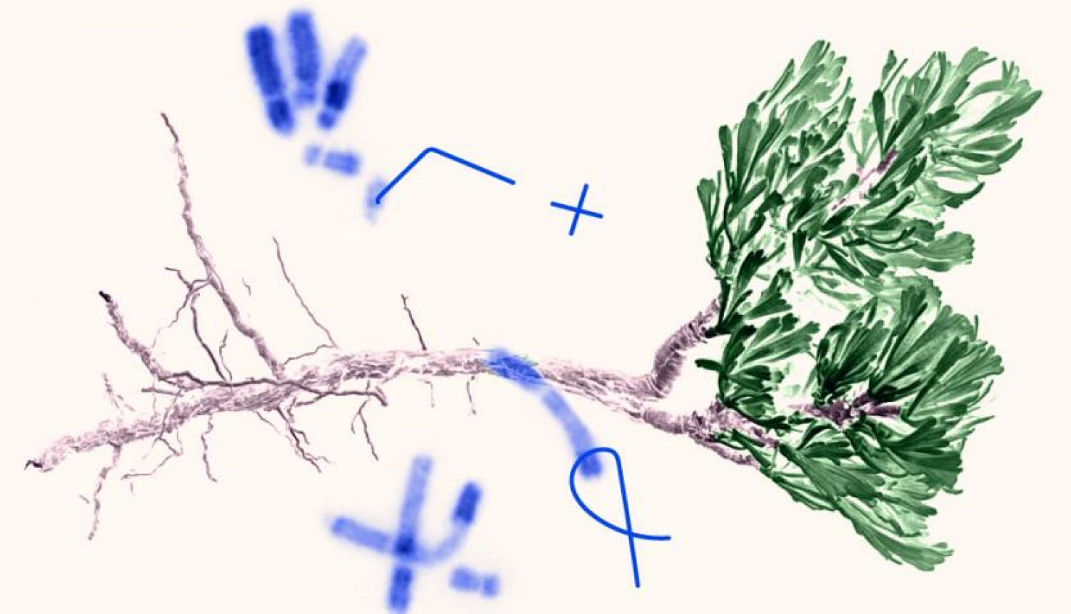 MSCA Zinātnieku nakts