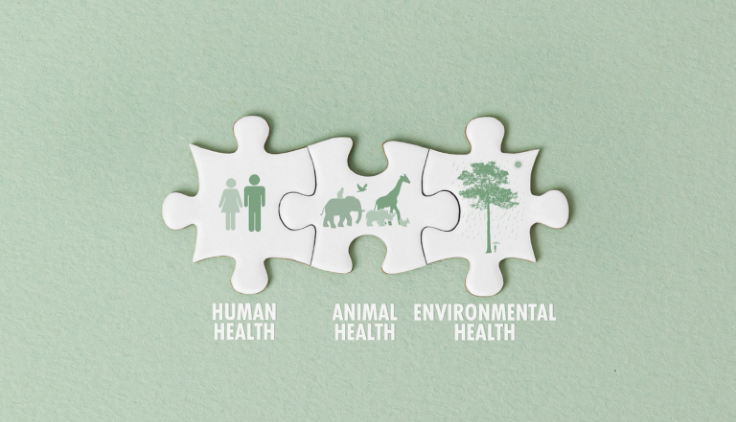 Eiropas Pētniecības padomes konference