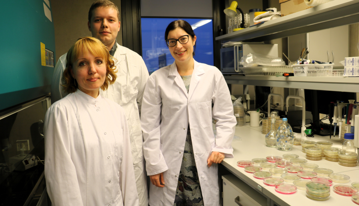 projekta “Sēklu mikrobioma raksturojums un dinamika nezāļu augsnes sēklu bankā” pētnieki laboratorijā