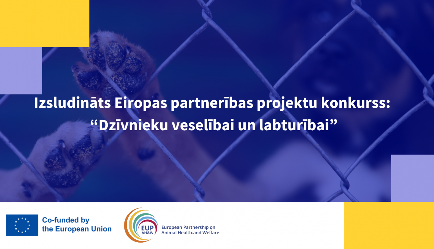 Eiropas partnerības projektu konkurss