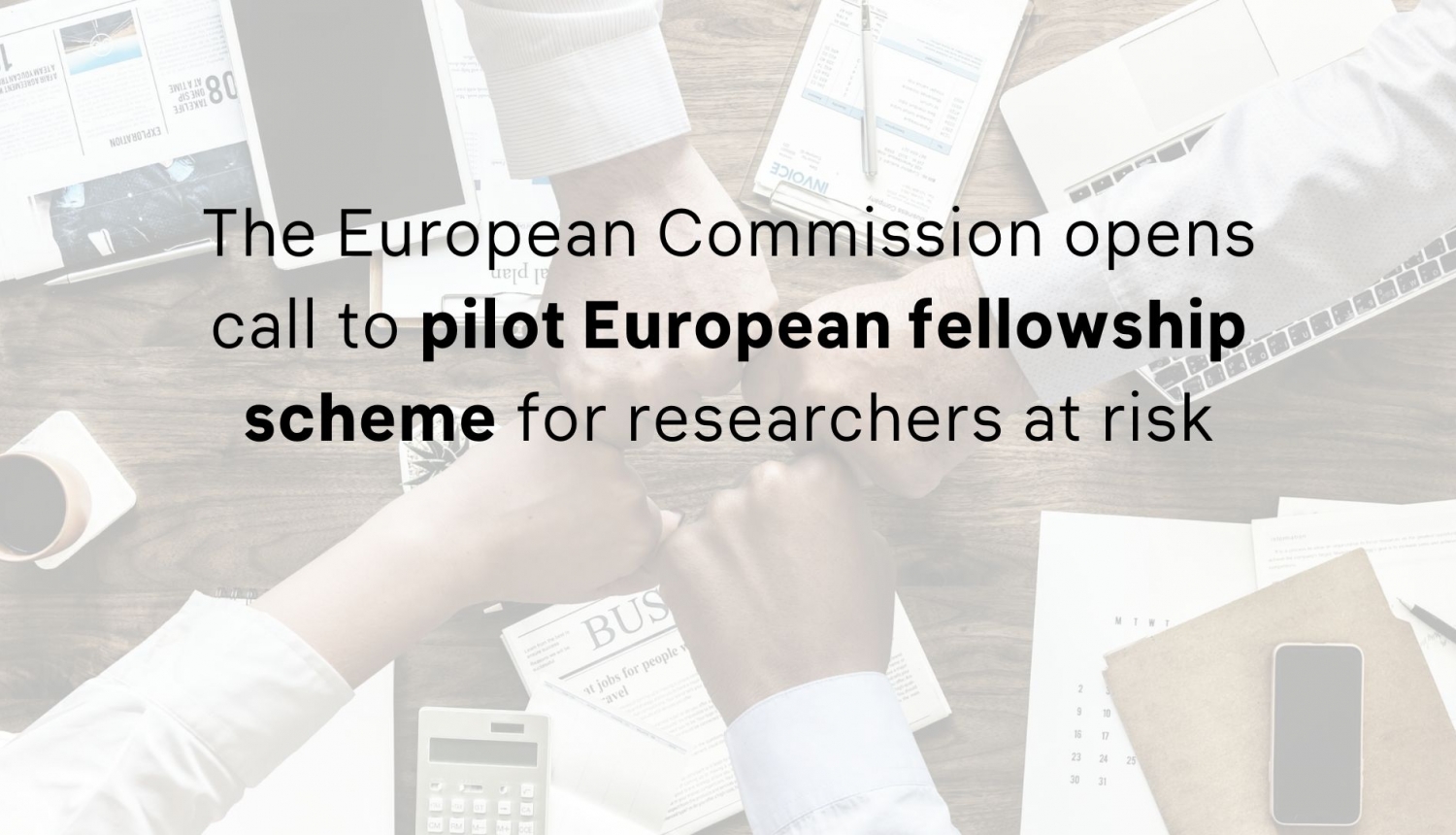 EU fellow pilot scheme