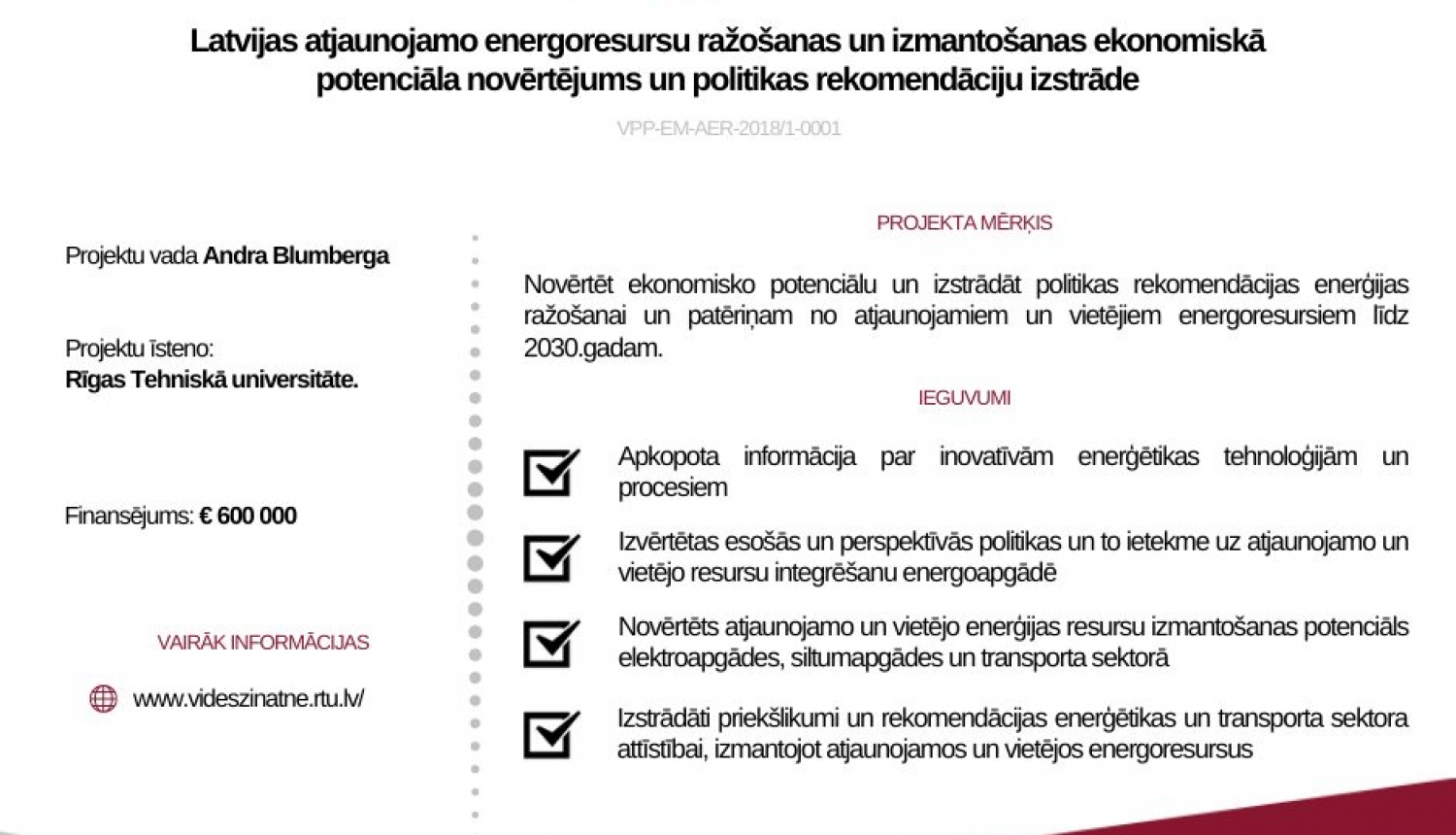 Projekta pase