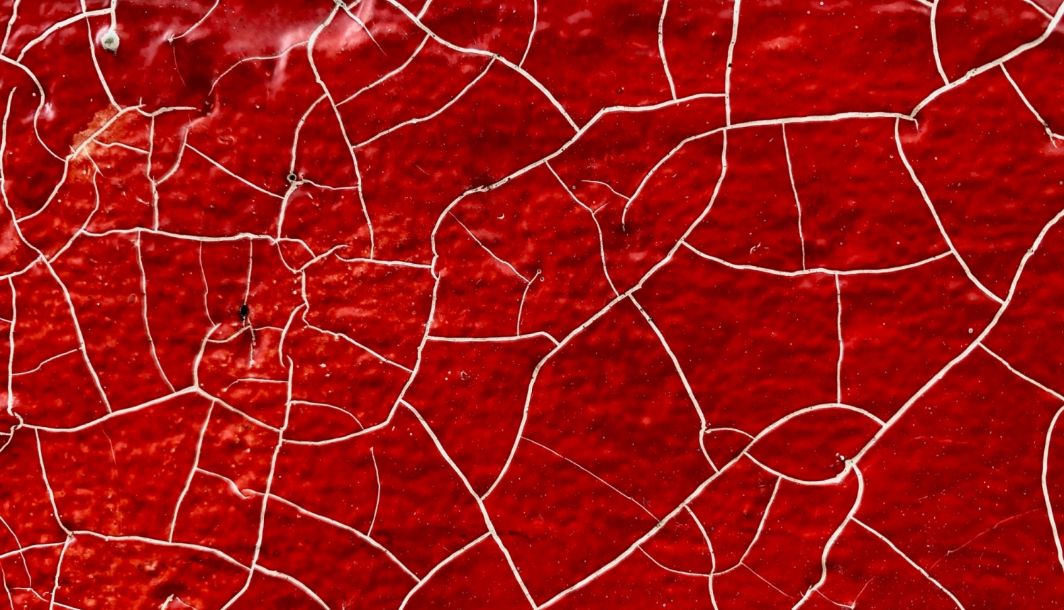 bekky-bekks-PI3e1wzTMHs-unsplash-scaled-e1602686810984-2048x1366.jpg