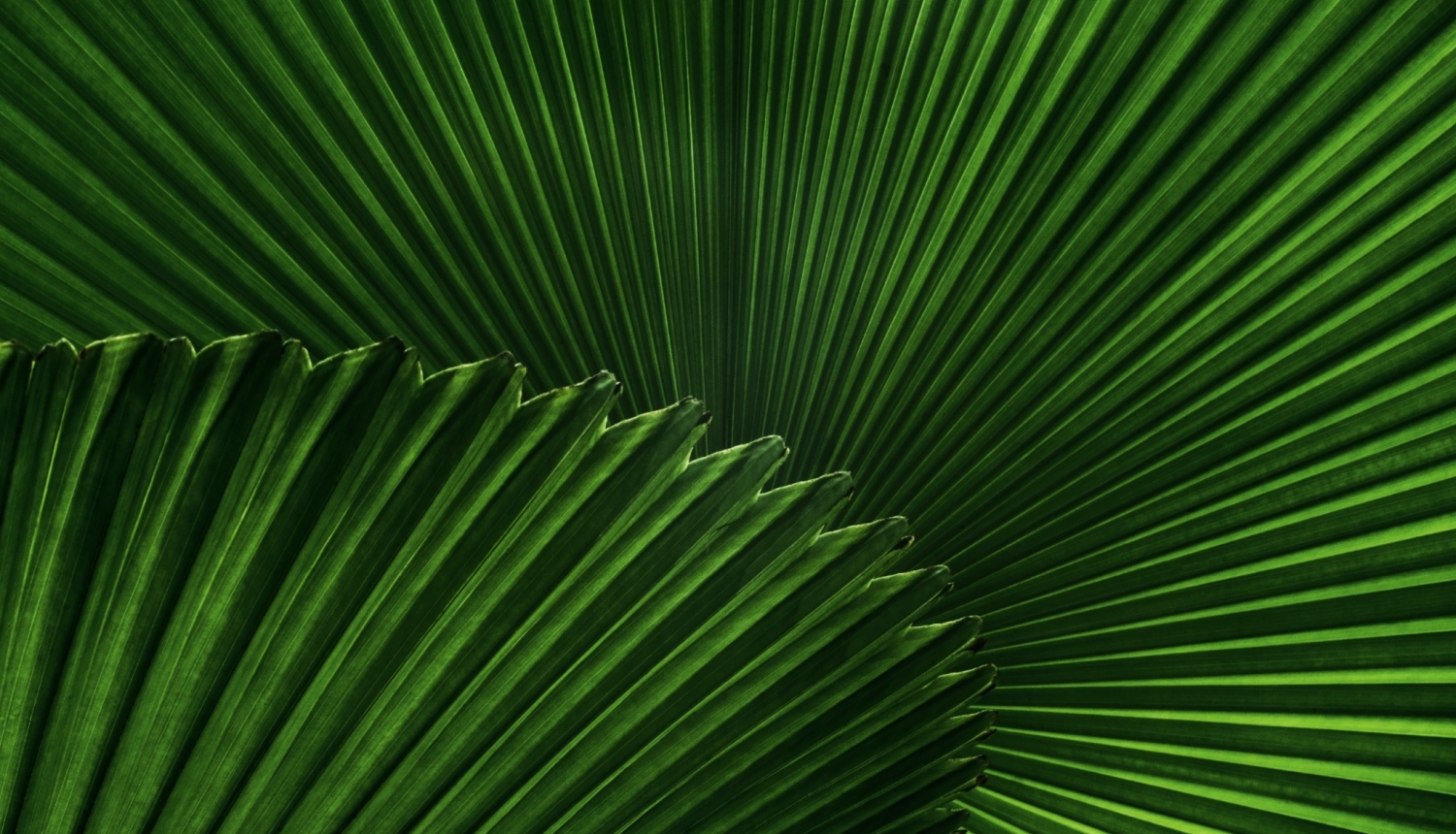 david-clode-xNSCi_K179c-unsplash-scaled-e1602691899929-2048x1366.jpg